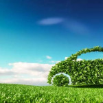 Driving schools with a focus on eco-friendly driving