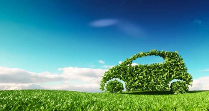 Driving schools with a focus on eco-friendly driving