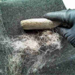 Tips for removing pet hair from car upholstery