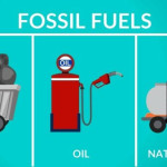 Effects of different fuel types on car performance